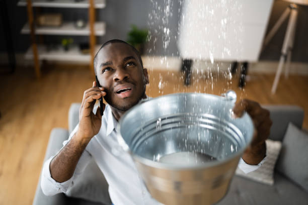 Water damage restoration mold remediation in Selinsgrove, PA