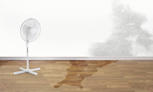 Best Residential water damage restoration  in Selinsgrove, PA