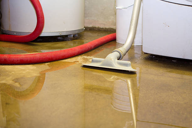  Selinsgrove, PA Water damage restoration Pros