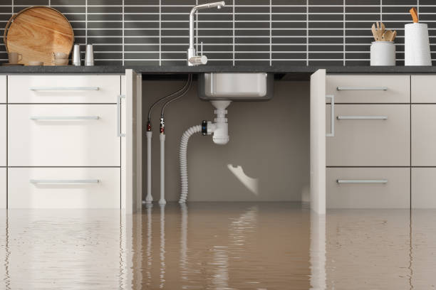 Best Flood restoration services  in Selinsgrove, PA