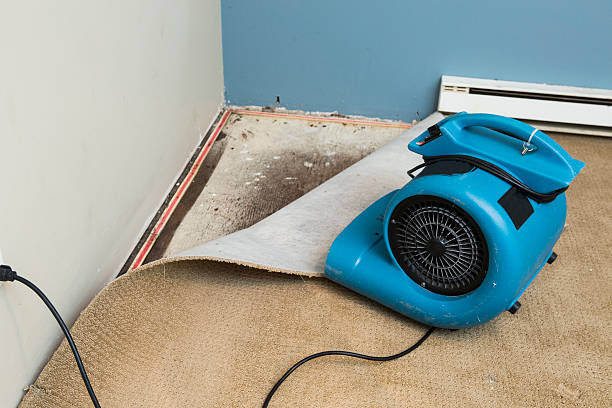 Best Fire Damage Restoration  in Selinsgrove, PA